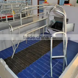 Qingdao Deba Brother Machinery Co., Ltd. company overview - view 4 thumbnail