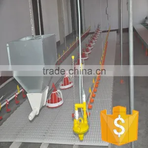 Best Quality Automatic Feeder and Drinker for Poultry Farm thumbnail-1
