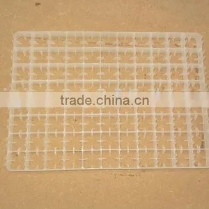Hatching Eggs Plastic Egg Tray thumbnail-1
