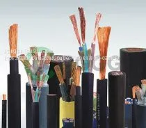 Rubber Cable (IEC) thumbnail-1