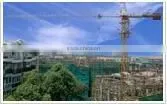 C5013A(SCM)tower Crane thumbnail-1