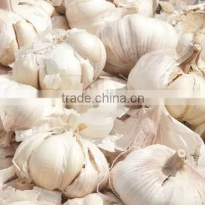 Garlic Bulb Separating Splitting Machine thumbnail-3