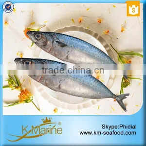 Frozen Seafood Horse Mackerel Fish Sale thumbnail-3