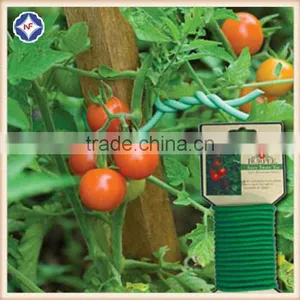 China Manufacturer High Quality Garden Twist Ties thumbnail-1
