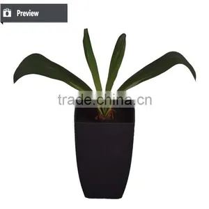 Factory Direct Sell Artificial Decorative Indoor and Outdoor Plant Tree With Pot for Decoration Use thumbnail-2