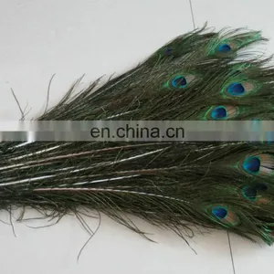 Factory Directly Sale 80-90cm Wholesale Stable Quality Peacock Feathers in Stock thumbnail-1