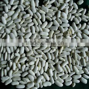 Medium White Kidney Beans thumbnail-1