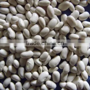 Japanese White Kidney Beans thumbnail-1