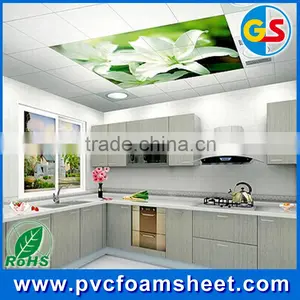 Environmental PVC Foam Sheet / Clear PVC Sheet 7mm thumbnail-2