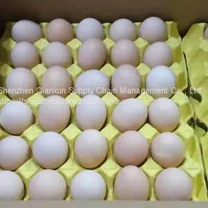Fresh Eggs for Hong Kong Market thumbnail-3