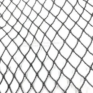 Anti Bird Netting For Fruit & Vegetable Protection thumbnail-1