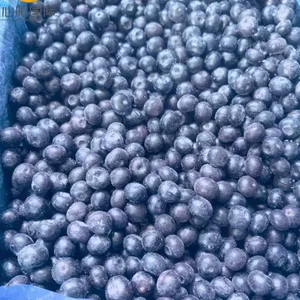 Different Varieties of High Quality IQF Frozen Blueberries thumbnail-3