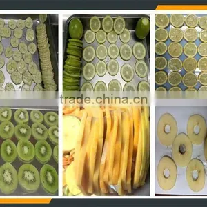 Leader Kiwi Slicer 3 in 1 Plastic Vegetable Turning Slicer With CE&ISO thumbnail-6