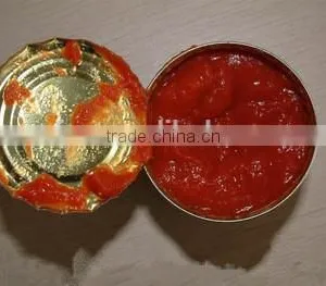 70g High Quality Canned Tomato Paste thumbnail-1