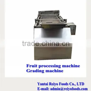 Fruit Processing Machine / Cherry Stem Removing Machine thumbnail-6