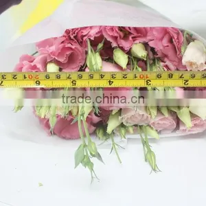 Fresh Newest Flower for Girlfriend thumbnail-4