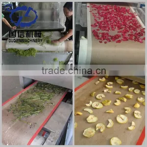 China Best Selling Industrial Microwave Drying Machine With Best Service thumbnail-1
