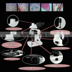 Optical Microscope With Camera/ Stereo Microscope /stereo Microscope With LED thumbnail-3