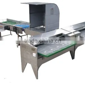 China Supplier Egg Collection/grader Machine thumbnail-1