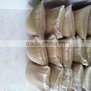Soybean thumbnail-5