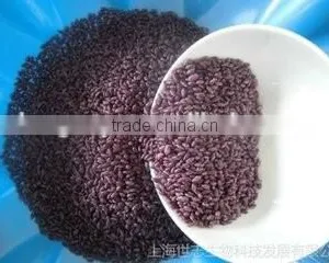 Supply Purple Potato Rice Production Line /nutritional Rice Extuder Machine thumbnail-2