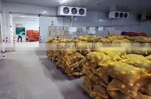 Foshan Fuyi Food Co., Ltd. company overview - view 3 thumbnail