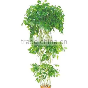 New Artificial Ficus Tree With Three Branches thumbnail-1
