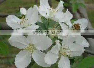 Tianshui Jia Wei Commercial And Trade Co., Ltd. company overview - view 1 thumbnail
