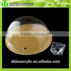 DDT-0069 Trade Assurance Aquarium Fish Price thumbnail-1