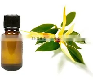 Ylang Ylang Essential Oil From India | Guaranteed 100% Pure Ylang-Ylang Oil thumbnail-5