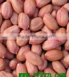 China Fried and Salted Peanut thumbnail-3