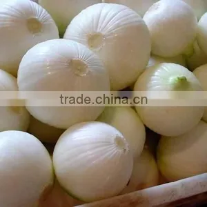 Three Belts Onion Peeling Machine/peeling Onion Machine/onion Stripper/onion Processing Machine thumbnail-2