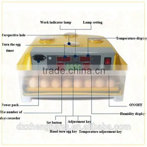 Cheap Mini 56 Egg Incubator Automatic ZH-56 Mini Egg Incubator for Sale thumbnail-1