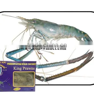 Fresh Water Prawn Scampi (Macrobrachium Rosenbergii) thumbnail-1