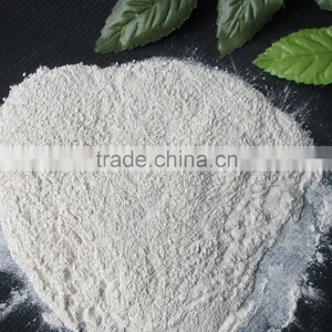 Bulk Packaging and Common Cultivation Type Onion Powder thumbnail-5