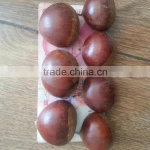 Raw Fresh Good Chestnuts Packed and Exported to Turkey;great Ability of Stock a Lot. thumbnail-3