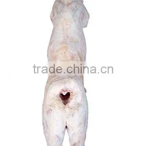 Frozen Mutton Carcass thumbnail-1