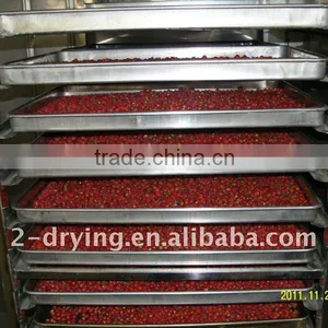 Medicine Hot Air Oven thumbnail-1