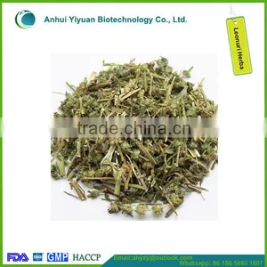 2016 New Products Leonuri Herba (Yi mu Cao) thumbnail-1