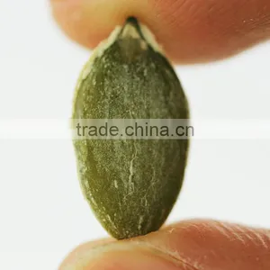 Wholesale RAW Pumpkin Seeds Ton Price thumbnail-6