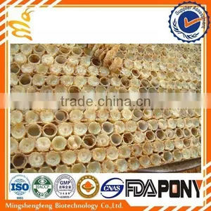 High Quality Fresh Organic Royal Jelly With Cheap Price thumbnail-3