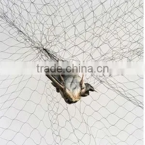 Anti Bird Net for Shrimp Farming thumbnail-4