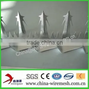 Galvanized Steel Wall Spikes / Anti-climb Spikes/ Security Spikes (factory ) thumbnail-4