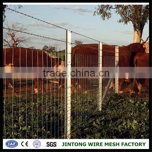 Wire Mesh Fence for Boundary Wall Weight Barbed Wire Razor Barbed Wire Mesh thumbnail-6