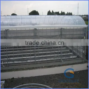 Modern Greenhouse for Agriculture thumbnail-1