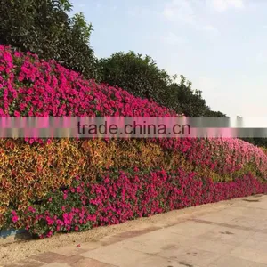 Garden Decorative Plastic Planter Pots Wall Planters SL-YT5030 thumbnail-4