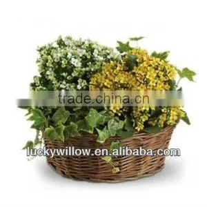 Environmental Beautiful Willow Flower Pot Rattan Modern Basket thumbnail-1