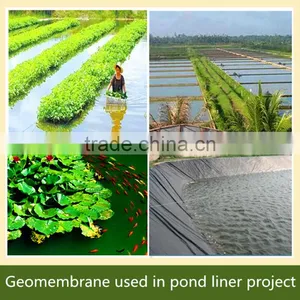 Aquaculture Hdpe Geomembrane Liner thumbnail-1