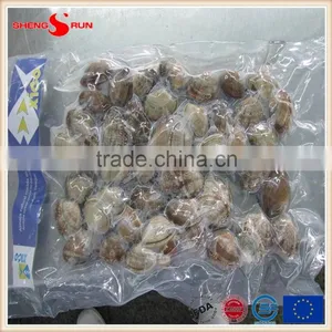 Frozen Boiled V-packed Baby Clam thumbnail-5