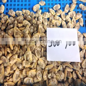 Hot Sales Frozen Surf Clam Meat thumbnail-3